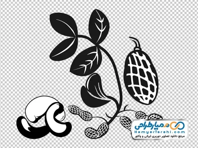 دانلود آیکون بادام زمینی