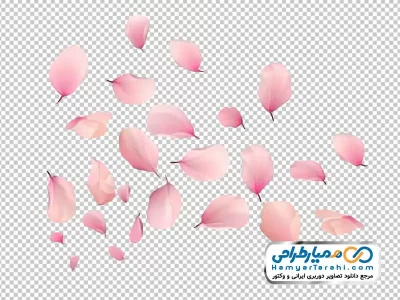 تصویر وکتوری گلبرگ صورتی با فرمت png