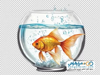 عکس وکتوری تنگ با ماهی قرمز با فرمت png