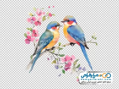 دانلود عکس پرنده نشسته روی شاخه با فرمت png