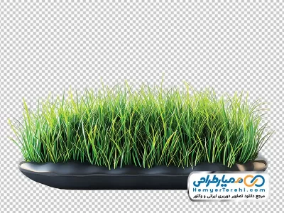 دانلود عکس وکتوری با کیفیت سبزه عید نوروز