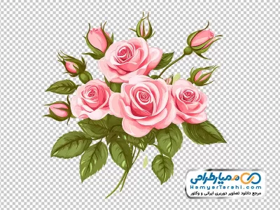 تصویر با کیفیت شاخه گل های رز صورتی با غنچه با فرمت png