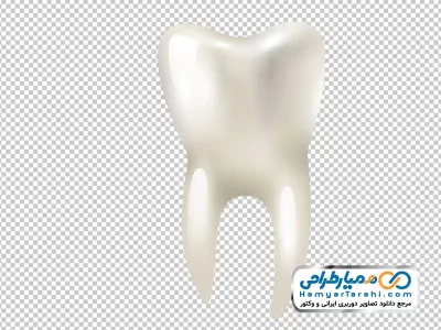 تصویر وکتوری دندان سفید با فرمت png