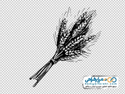 آیکون خوشه گندم با فرمت png