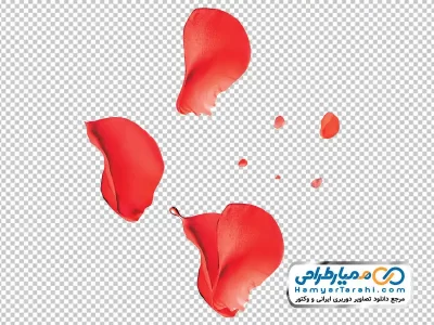 عکس png گلبرگ قرمز