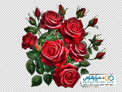 عکس وکتوری بوته گل رز قرمز با فرمت png