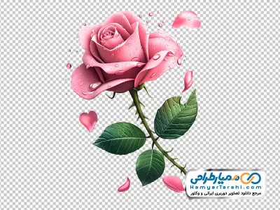 تصویر وکتوری شاخه گل رز با قطره های شبنم با فرمت png