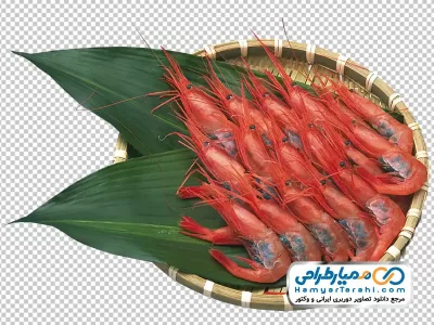 تصویر png شاه میگو