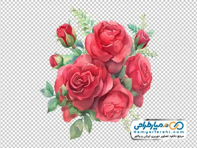 عکس وکتوری گل های محمدی آبرنگی با فرمت png