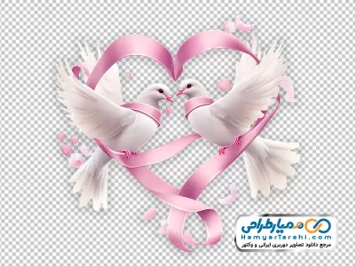 عکس وکتوری کبوتران عاشق با ربان صورتی با فرمت png
