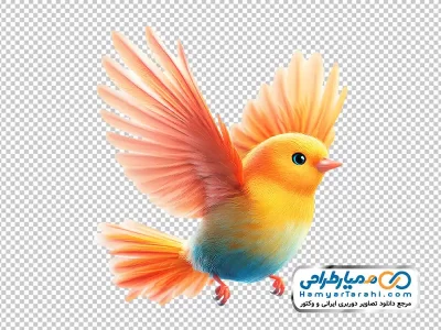 تصویر وکتوری پرنده رنگارنگ با فرمت png