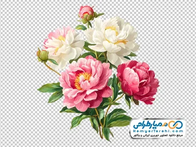 دانلود تصویر دسته گل های صورتی و سفید آبرنگی