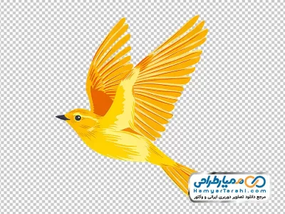 دانلود نقاشی پرنده با فرمت png