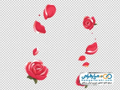 دانلود تصویر وکتوری گل و گلبرگ شناور