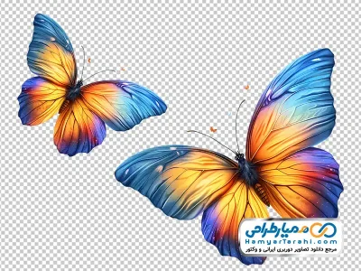 دانلود عکس با کیفیت پروانه خوشرنگ و زیبا