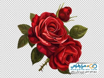 دانلود تصویر دو گل رز قرمز با غنچه