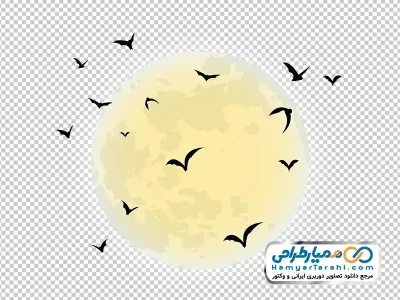 تصویر وکتوری ماه و پرنده با فرمت png