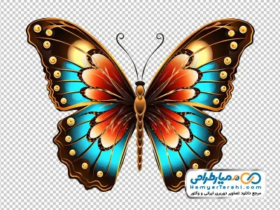 دانلود عکس png پروانه خوشرنگ و زیبا