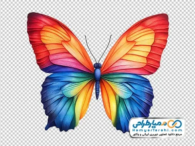 نقاشی پروانه رنگارنگ و زیبا با فرمت png