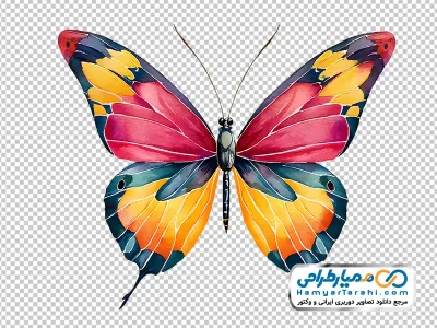 دانلود نقاشی پروانه رنگارنگ با فرمت png