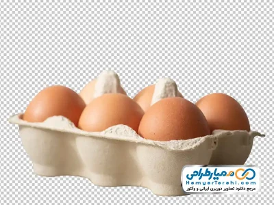 تصویر با کیفیت شانه تخم مرغ