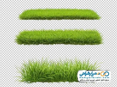 دانلود تصویر بدون پس زمینه چمن