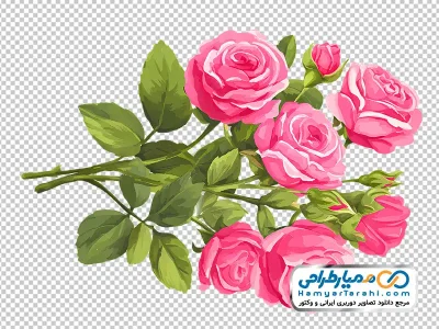 تصویر وکتوری گل های رز صورتی آبرنگی