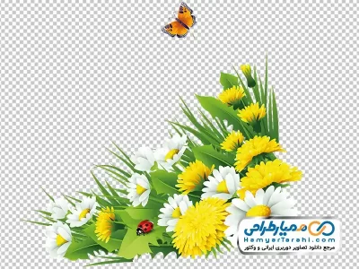 تصویر png گل زرد و سفید با پروانه و کفشدوزک