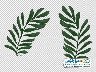 تصویر وکتوری برگ نخل گرمسیری با فرمت png