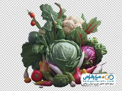 دانلود تصویر png انواع سبزیجات