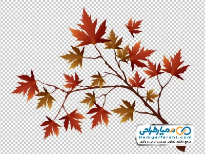 تصویر png شاخه با برگ های زرد پاییزی