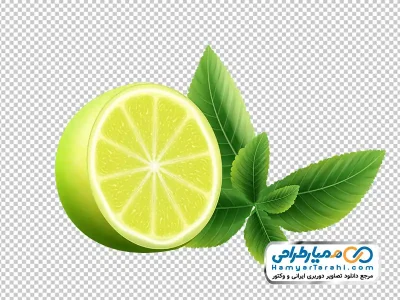 تصویر وکتوری لیمو ترش سبز با فرمت png