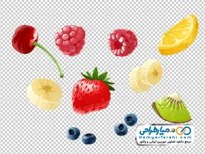 تصویر وکتوری میوه های پراکنده