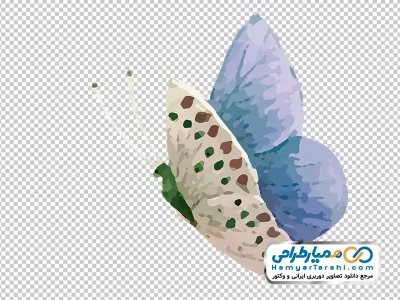 تصویر وکتوری پروانه آبرنگی با فرمت png