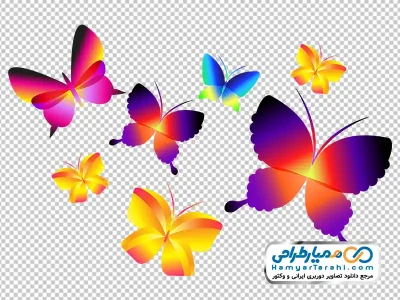 عکس پاشش پروانه های رنگی وکتوری با فرمت png