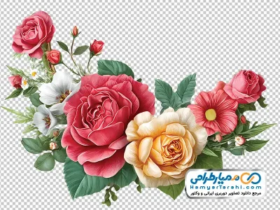 تصویر png گل های رز باغی