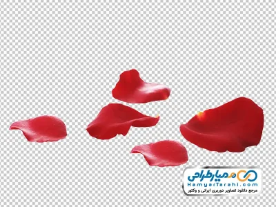 عکس png گلبرگ های قرمز