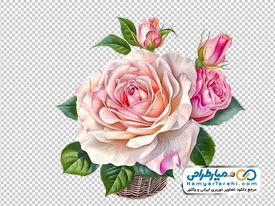 دانلود تصویر png گل رز صورتی در سبد
