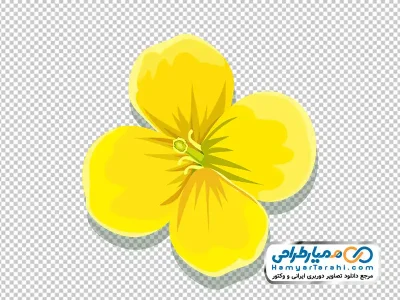 دانلود تصویر وکتوری گل زرد
