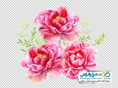 تصویر وکتوری دسته گل آبرنگی گل های صورتی