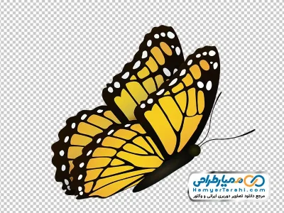 دانلود تصویر png پروانه زرد