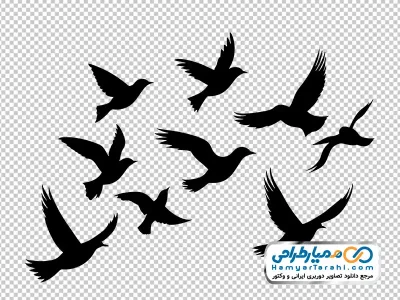 دانلود آیکون کبوتران در حال پرواز