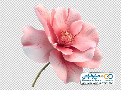 دانلود عکس وکتوری گل صورتی مگنولیا
