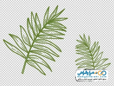 عکس وکتوری برگ نخل گرمسیری