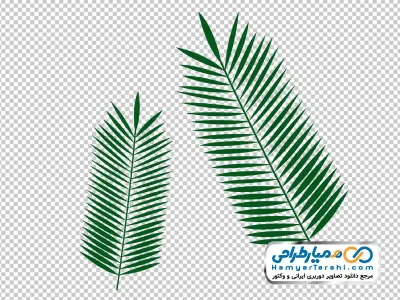 عکس وکتوری برگ درخت نخل