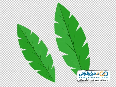 آیکون برگ درخت موز تزئینی با فرمت png