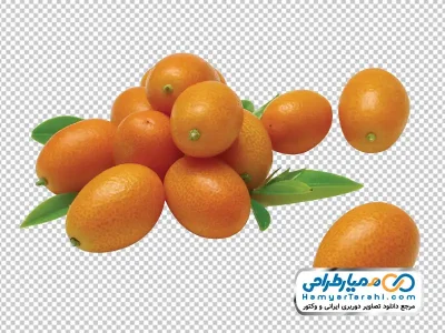 دانلود تصویر با کیفیت کامکوات