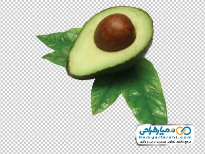 دانلود تصویر با کیفیت آواکادو