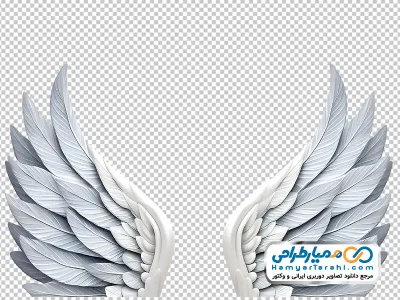 تصویر با کیفیت بال پرنده با فرمت png