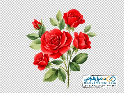 دانلود عکس وکتوری شاخه گل رز قرمز آبرنگی